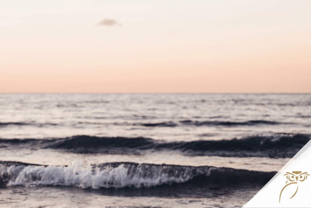 Understanding market cycles and retirement planning helps you prepare for a range of conditions. Here is what every retiree should know.